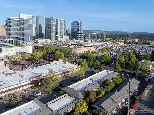 812 100th Ave NE Unit 102, Bellevue, WA 98004 - bird's eye view of skyline