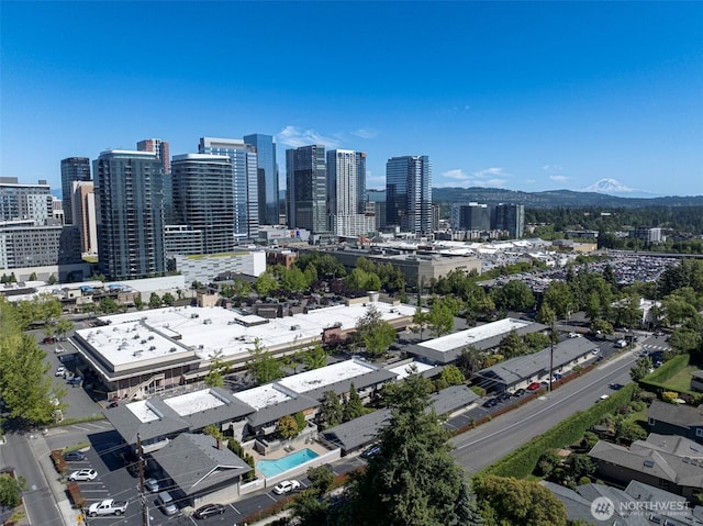812 100th Ave NE Unit 102, Bellevue, WA 98004 - skyline view