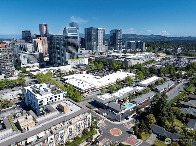 812 100th Ave NE Unit 102, Bellevue, WA 98004 - bird's eye view of city skyline