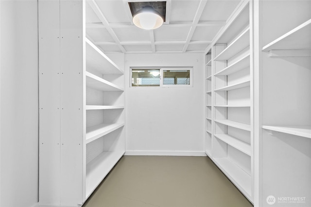 12023 35th Ave NE, Seattle, WA 98125 - view of spacious closet