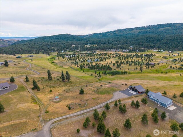 950 Leo Ln, Cle Elum, WA 98922 - photo 28