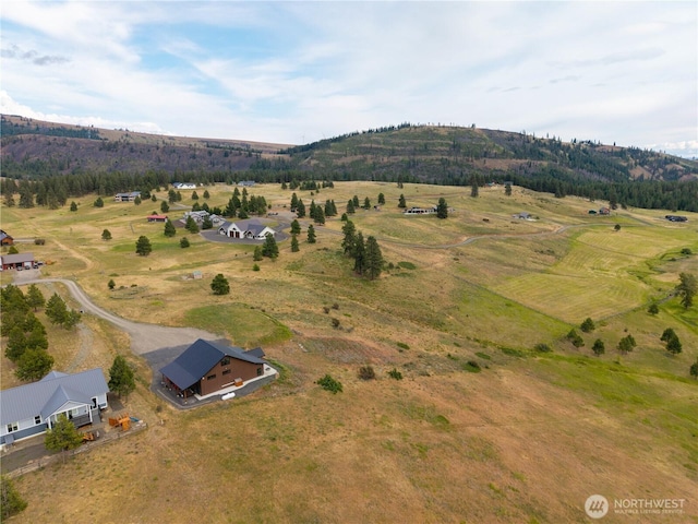 950 Leo Ln, Cle Elum, WA 98922 - photo 30
