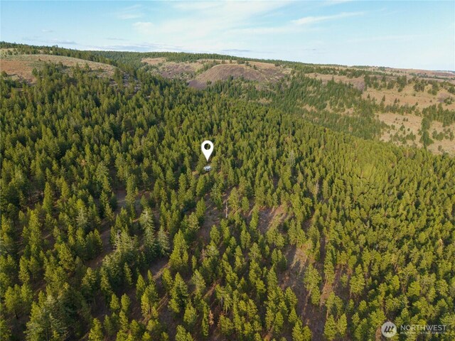 1NKA Colockum Rd, Ellensburg, WA 98926 - photo 2