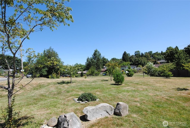6740 17th Ave SW, Seattle, WA 98106 - photo 3