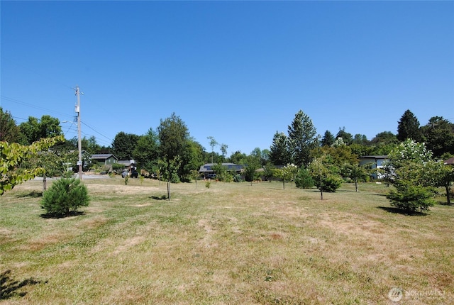 6740 17th Ave SW, Seattle, WA 98106 - photo 4
