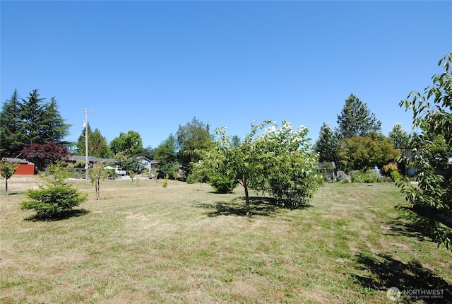 6740 17th Ave SW, Seattle, WA 98106 - photo 5