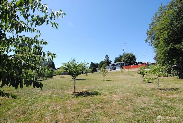6740 17th Ave SW, Seattle, WA 98106 - photo 8
