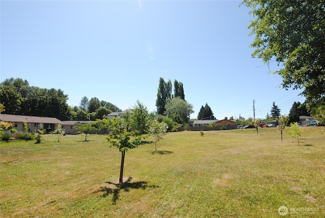 6740 17th Ave SW, Seattle, WA 98106 - photo 9
