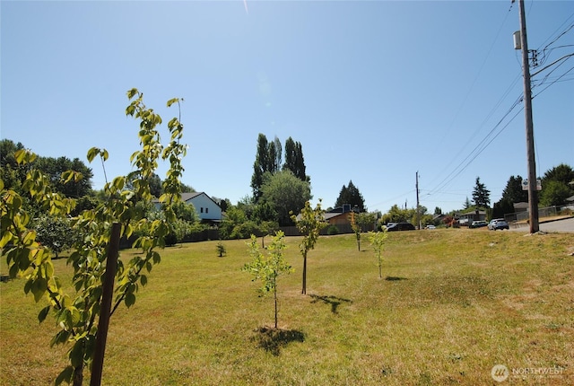 6740 17th Ave SW, Seattle, WA 98106 - photo 10