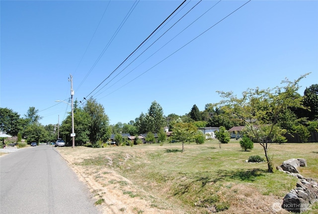 6740 17th Ave SW, Seattle, WA 98106 - photo 14