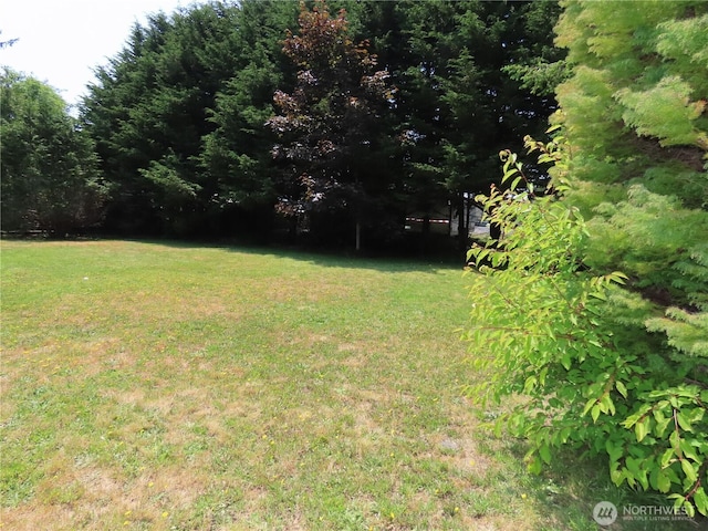 526 W Newell Ave, Westport, WA 98595 - photo 10