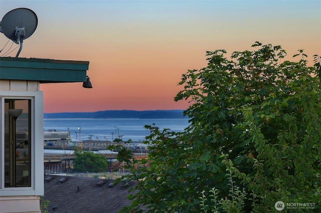2063 13th Ave W, Seattle, WA 98119 - water view