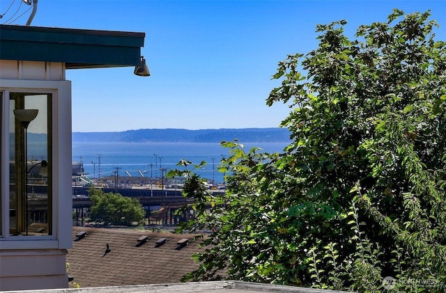 2063 13th Ave W, Seattle, WA 98119 - water view