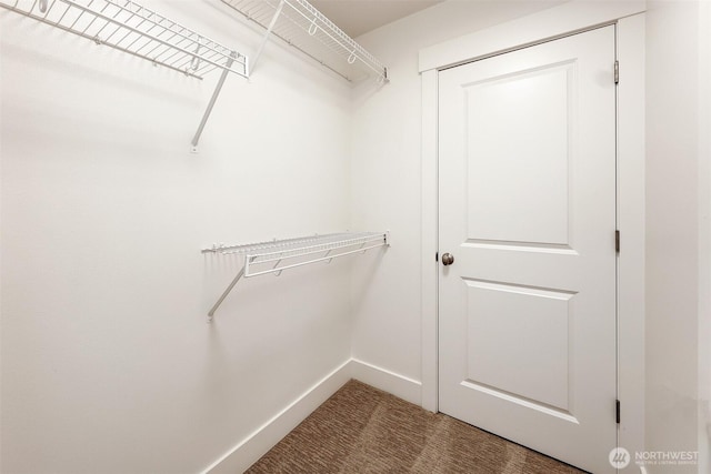 2063 13th Ave W, Seattle, WA 98119 - walk in closet featuring carpet