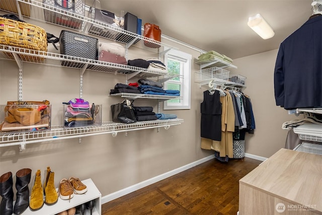 10430 NE Cascade St, Bainbridge Island, WA 98110 - walk in closet with dark wood-style flooring