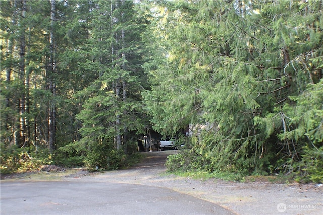 33 N Dow Mountain Pl, Hoodsport, WA 98548 - view of street with a view of trees