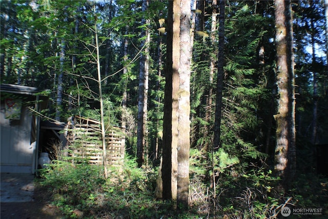 33 N Dow Mountain Pl, Hoodsport, WA 98548 - view of tree filled area
