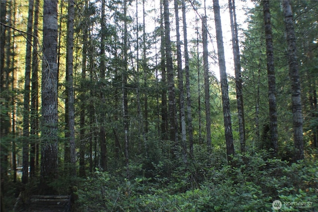 33 N Dow Mountain Pl, Hoodsport, WA 98548 - view of wooded area