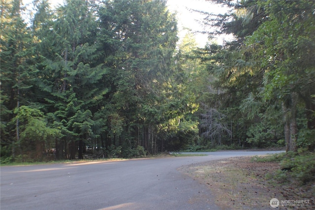33 N Dow Mountain Pl, Hoodsport, WA 98548 - view of asphalt road featuring a wooded view