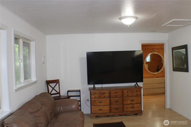 33 N Dow Mountain Pl, Hoodsport, WA 98548 - photo 14