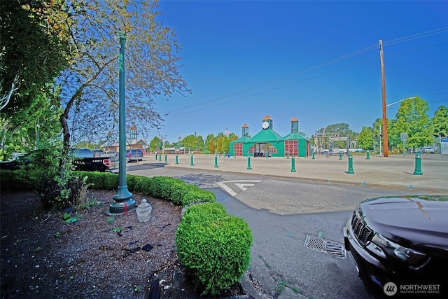 816 Cherry Ave, Sumner, WA 98390 - view of play area