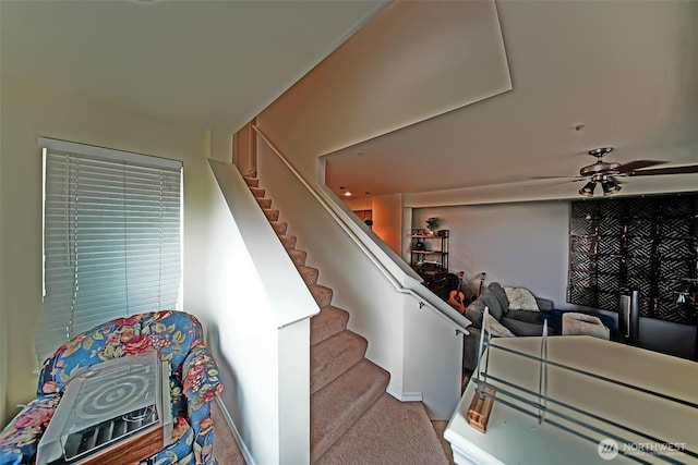 816 Cherry Ave, Sumner, WA 98390 - staircase with carpet flooring and ceiling fan