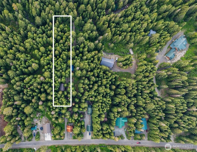 81 Snow Cabin Pl, Snoqualmie Pass, WA 98068 - photo 28