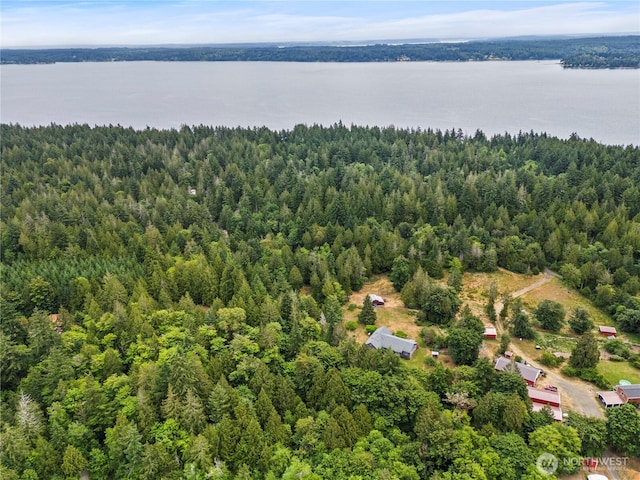 101 E Ireland Ct, Shelton, WA 98584 - photo 39