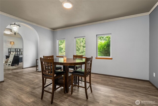 101 E Ireland Ct, Shelton, WA 98584 - photo 15