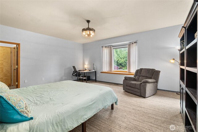 101 E Ireland Ct, Shelton, WA 98584 - photo 16