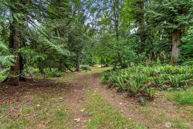 101 E Ireland Ct, Shelton, WA 98584 - photo 35