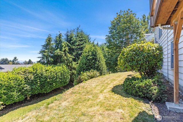 3523 Federal Ave, Everett, WA 98201 - photo 23