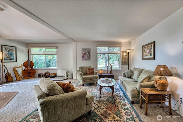 2011 Whiteman Rd SW, Lakebay, WA 98349 - photo 10