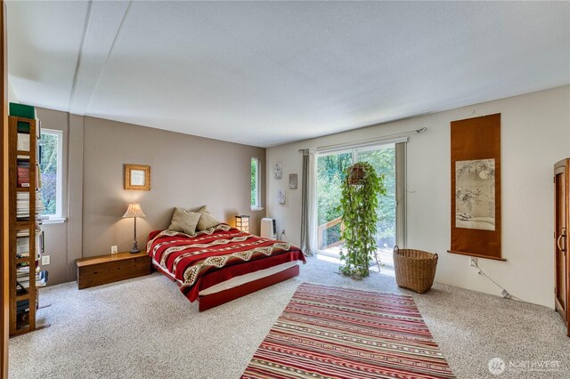 2011 Whiteman Rd SW, Lakebay, WA 98349 - photo 11