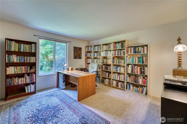 2011 Whiteman Rd SW, Lakebay, WA 98349 - photo 16