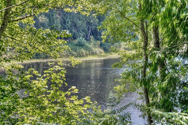 2011 Whiteman Rd SW, Lakebay, WA 98349 - photo 19