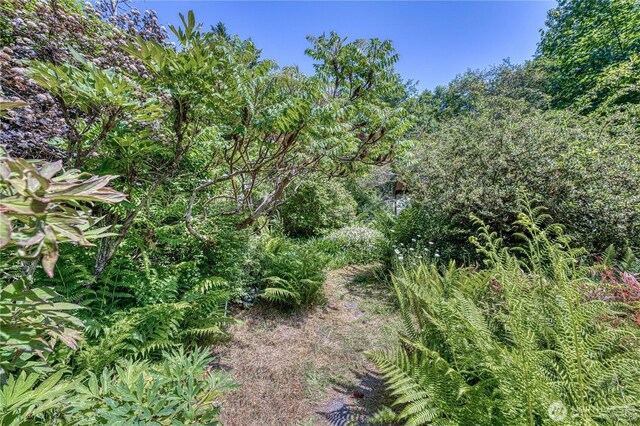 2011 Whiteman Rd SW, Lakebay, WA 98349 - photo 28