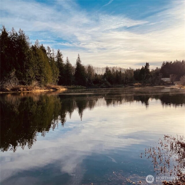 2011 Whiteman Rd SW, Lakebay, WA 98349 - photo 4