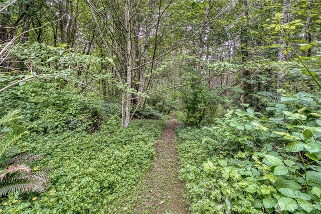 2011 Whiteman Rd SW, Lakebay, WA 98349 - photo 26