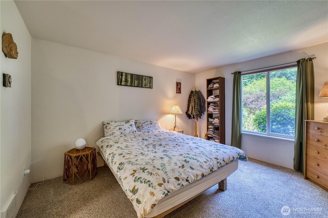 2011 Whiteman Rd SW, Lakebay, WA 98349 - photo 14