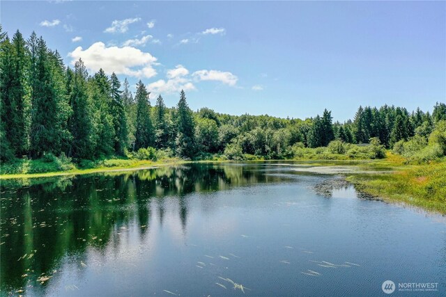 2011 Whiteman Rd SW, Lakebay, WA 98349 - photo 20