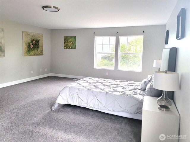 22592 96th St NE, Redmond, WA 98053 - photo 28