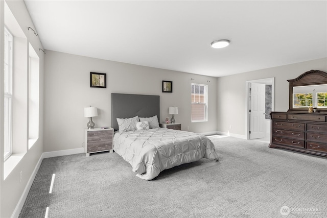 22592 96th St NE, Redmond, WA 98053 - photo 31