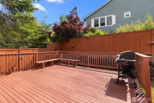 22592 96th St NE, Redmond, WA 98053 - photo 39