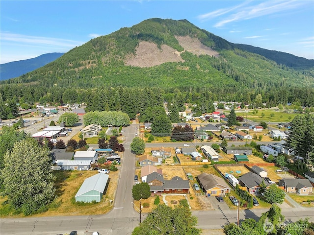 930 Commercial Ave, Darrington, WA 98241 - photo 37