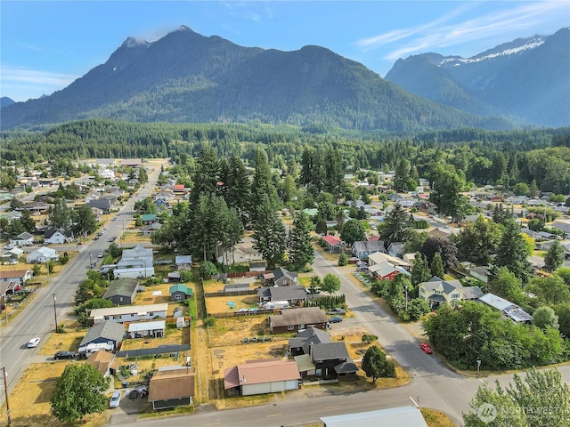 930 Commercial Ave, Darrington, WA 98241 - photo 40