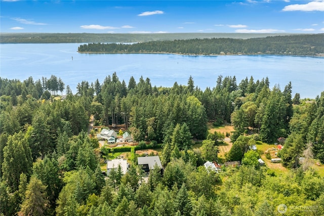 6686 NE Ralston Rd, Bainbridge Island, WA 98110 - bird's eye view of a large body of water