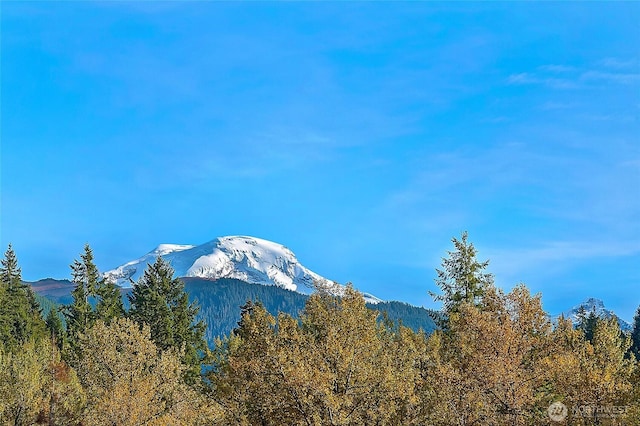 14001 Welcome Rd, Glacier, WA 98244 - mountain view with a heavily wooded area