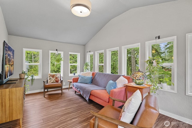17225 429th Ave SE, North Bend, WA 98045 - sunroom featuring lofted ceiling