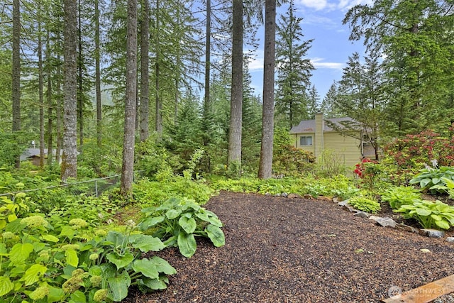 17225 429th Ave SE, North Bend, WA 98045 - view of yard